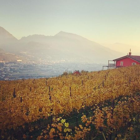 Agritur Maso Spezial Villa Villa Lagarina Buitenkant foto