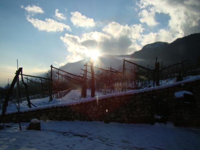 Agritur Maso Spezial Villa Villa Lagarina Buitenkant foto