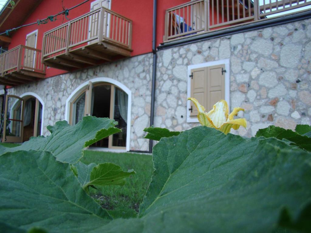 Agritur Maso Spezial Villa Villa Lagarina Buitenkant foto