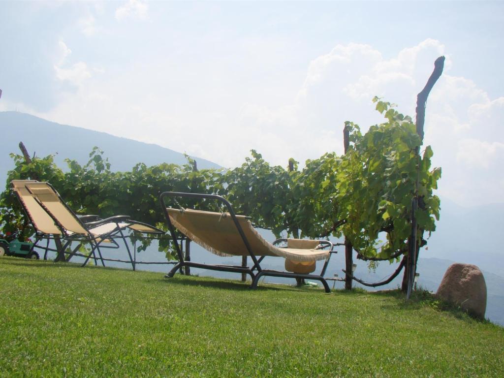 Agritur Maso Spezial Villa Villa Lagarina Buitenkant foto