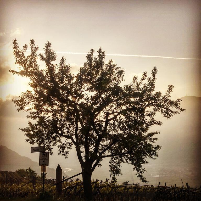 Agritur Maso Spezial Villa Villa Lagarina Buitenkant foto