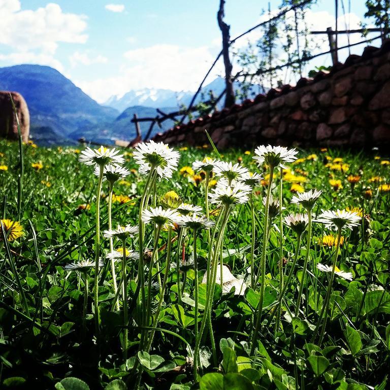 Agritur Maso Spezial Villa Villa Lagarina Buitenkant foto