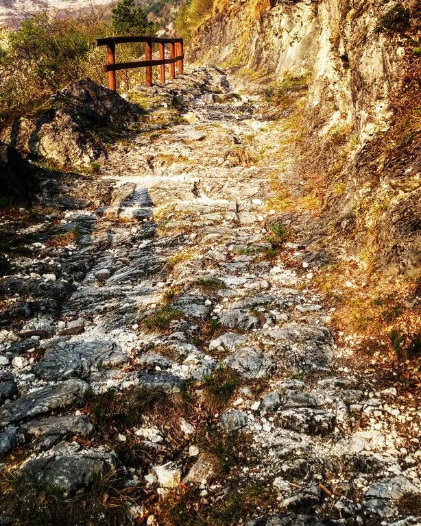Agritur Maso Spezial Villa Villa Lagarina Buitenkant foto