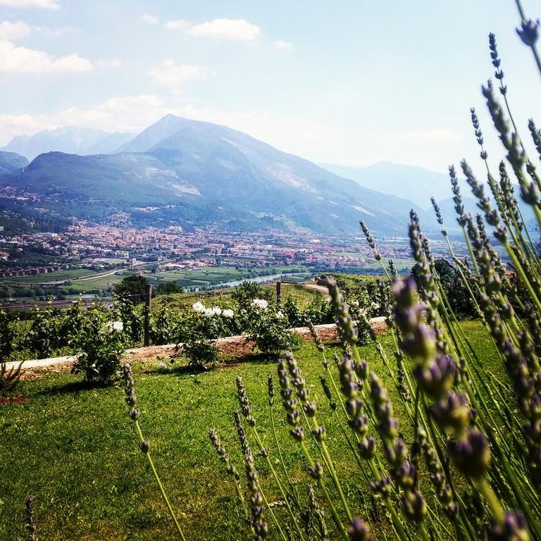 Agritur Maso Spezial Villa Villa Lagarina Buitenkant foto